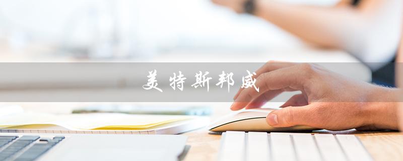 美特斯邦威（美特斯邦威的国家）
