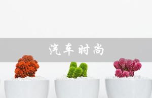 汽车时尚（汽车时尚文化是什么）