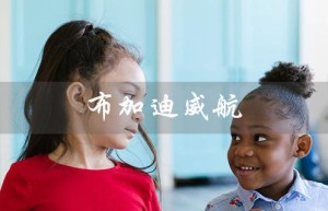 布加迪威航（布加迪威航汽车报价及图片）