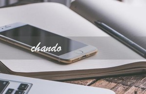 chando（chandon是什么品牌）