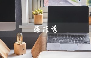海菲秀（谁是海菲秀官方认证机构）