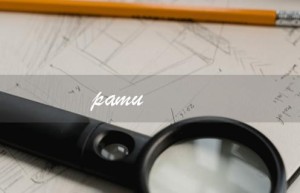 pamu（如何配对pamu蓝牙耳机）