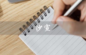 沙宣（沙宣美容美发培训学校是什么）
