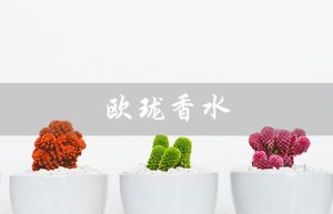 欧珑香水（欧珑香水档次如何）