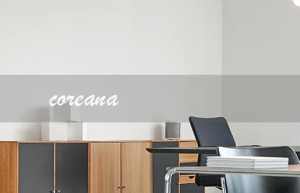 coreana（coreana护肤品好用吗）