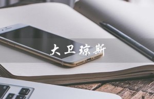 大卫琼斯（大卫琼斯的包好不好）