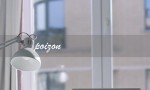 poizon（poizon是哪个牌子）