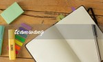 teamwang（团队王在哪买）