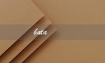bata（bata和百丽谁档次高）