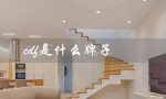 cdf是什么牌子（什么是轻奢cdf品牌）