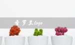 圣罗兰logo（圣罗兰logo是什么）