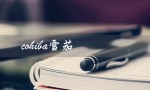 cohiba雪茄（cohiba雪茄单支价格）