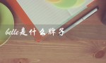 belle是什么牌子（belle包包是哪个品牌）