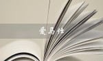 爱马仕（爱马仕包包价格表）