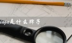 balenciaga是什么牌子（balenciaga是哪个品牌的包）