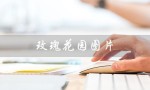 玫瑰花园图片（玫瑰花园有哪些大图）