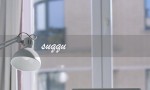suqqu（suqqu粉霜是什么）