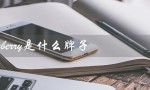 burberry是什么牌子（burberry包包价格）