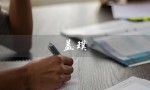 盖璞（盖璞的读音是什么）