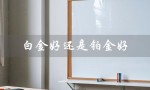 白金好还是铂金好（白金、铂金、黄金哪个好）