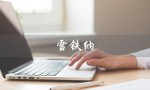 雪铁纳（雪铁纳售后服务网点在哪）