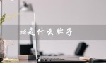 sk是什么牌子（sk衣服是哪个牌子）