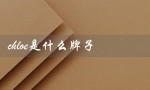 chloe是什么牌子（Chloe香水是哪个品牌）
