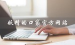 妖精的口袋官方网站（口袋奇兵官网是什么）