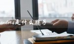 pandora是什么牌子（pandora手链是什么品牌）