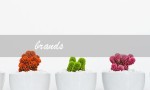 brands（brands的含义是什么）