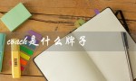 coach是什么牌子（Coach是奢侈品牌吗）