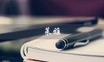 莱雅（莱雅琴入门教学课程是什么）