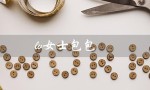 lv女士包包（lv女包官网是什么）
