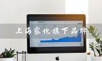 上海家化旗下品牌（上海家化旗下品牌有哪些）
