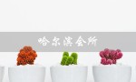 哈尔滨会所（哈尔滨会所招聘）