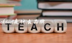 chanel是什么品牌（chanel包包价格）