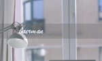 baerman（什么是巴尔曼）