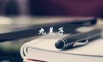 九美子（九美子套装价格表是多少）