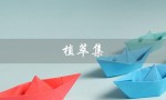 植萃集（植萃集防晒霜怎么样）