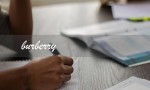 burberry（burberry是哪个品牌）