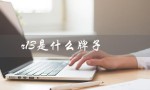 r13是什么牌子（r13鞋子是哪个品牌）