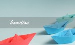 hamilton（什么是Hamilton手表）
