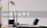 gucci是什么牌子（Gucci鞋子价格及品牌介绍）
