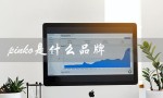 pinko是什么品牌（pinko牌子的档次如何）