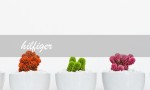 hilfiger（hilfiger男装品牌是什么）