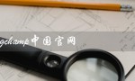 longchamp中国官网（珑骧官网是什么）