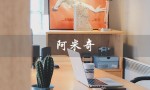 阿米奇（阿米奇电动车质量如何）