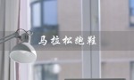 马拉松跑鞋（马拉松跑鞋推荐）