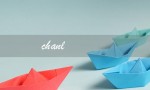 chanl（什么是challenge）