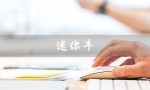 迷你牛（迷你牛一只多少钱）
